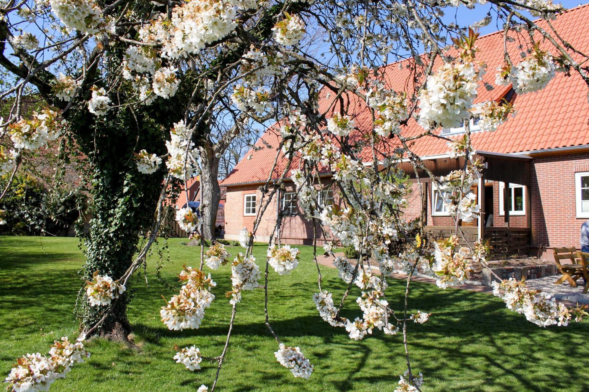 Ferienwohnung Gartenblick - A19374 Suderburg Exterior photo